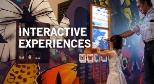 Interactive Experiences